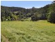 Kendall NSW 2439