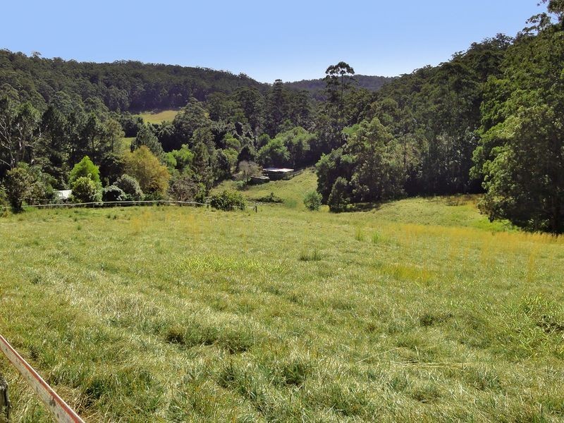Kendall NSW 2439