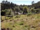 Kendall NSW 2439