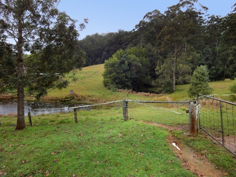 Kendall NSW 2439