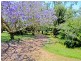 Bonny Hills NSW 2445