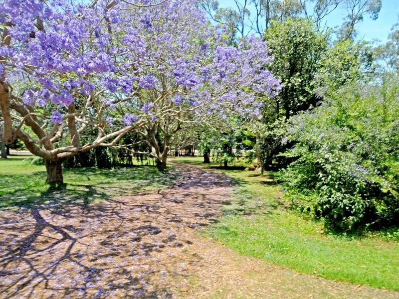 Bonny Hills NSW 2445