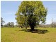 Bonny Hills NSW 2445