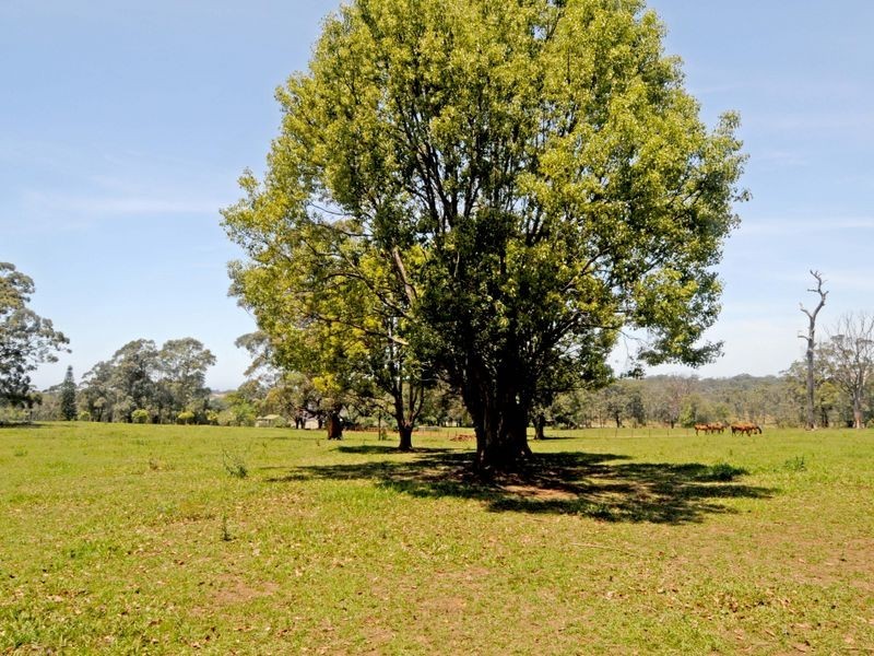 Bonny Hills NSW 2445