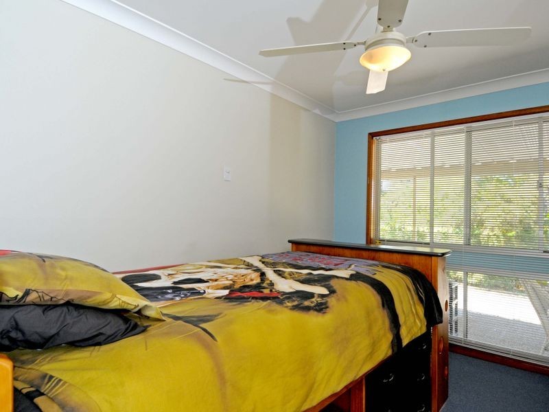 Middle Brother NSW 2443