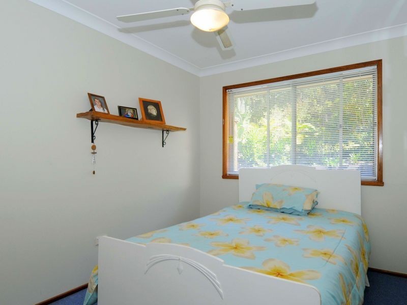 Middle Brother NSW 2443