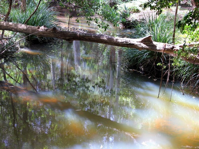 Lot 20 Watson Taylor Road, Middle Brother NSW 2443