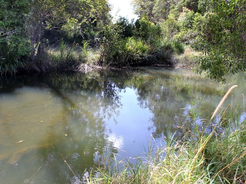 Lot 20 Watson Taylor Road, Middle Brother NSW 2443