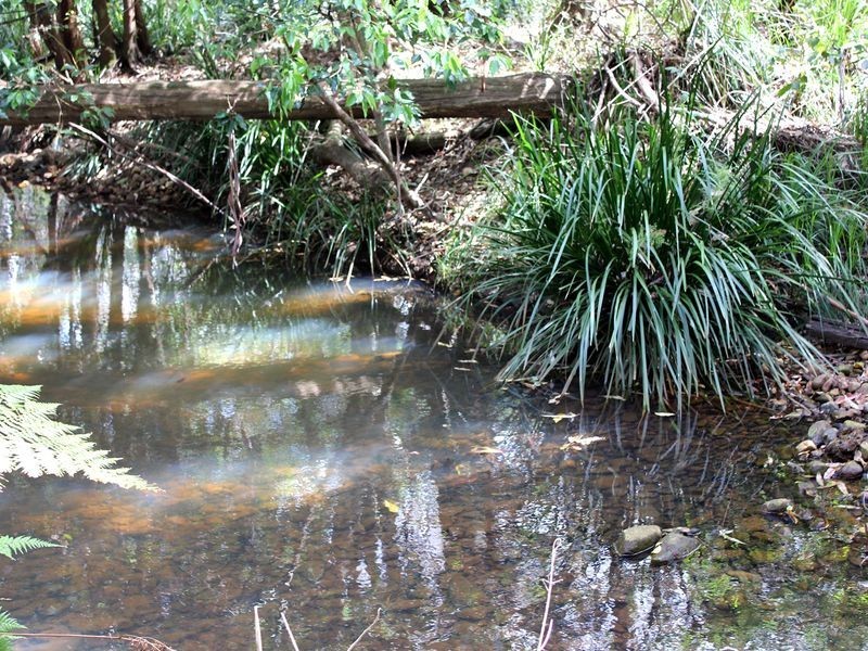 Lot 20 Watson Taylor Road, Middle Brother NSW 2443