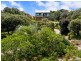 Laurieton NSW 2443