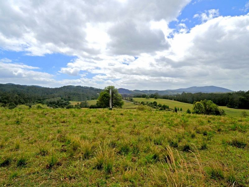 Hannam Vale NSW 2443