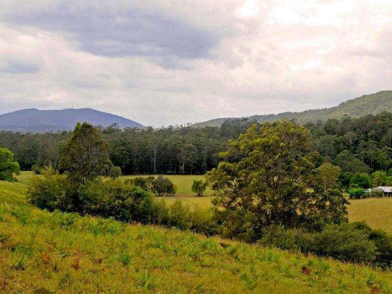 Hannam Vale NSW 2443
