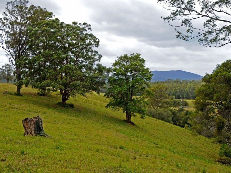 Hannam Vale NSW 2443