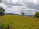 Hannam Vale NSW 2443