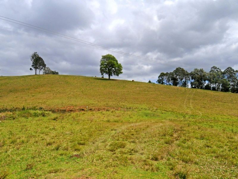Hannam Vale NSW 2443