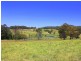 Lorne NSW 2439