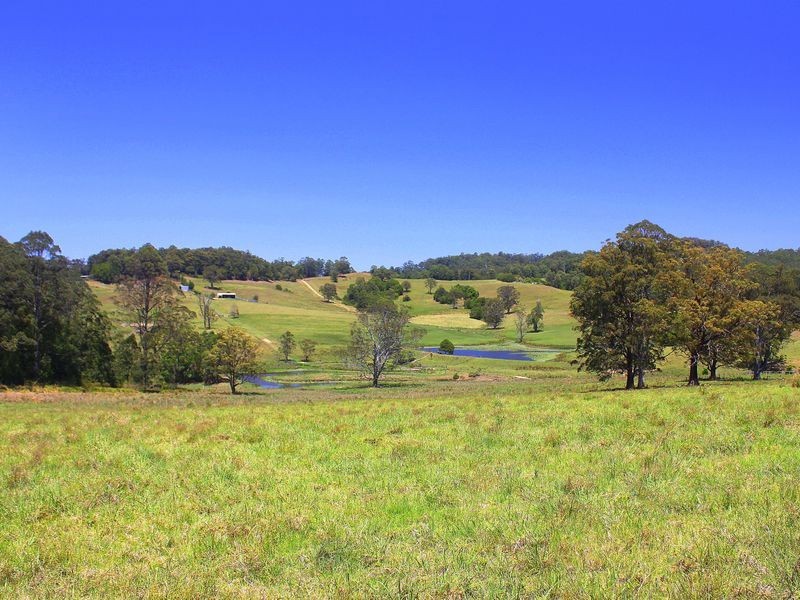 Lorne NSW 2439