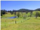 Lorne NSW 2439