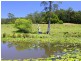 Lorne NSW 2439