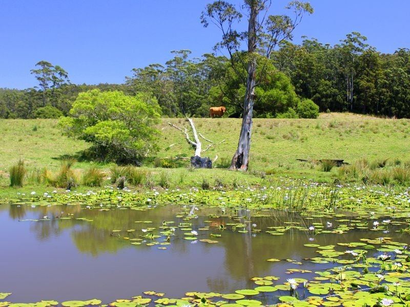 Lorne NSW 2439