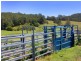 Lorne NSW 2439