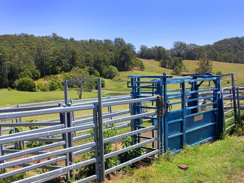 Lorne NSW 2439