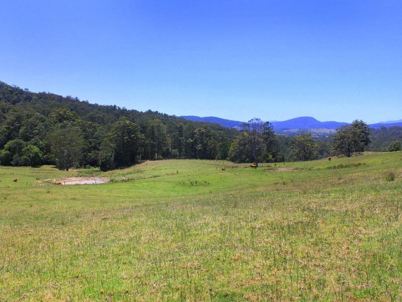 Lorne NSW 2439