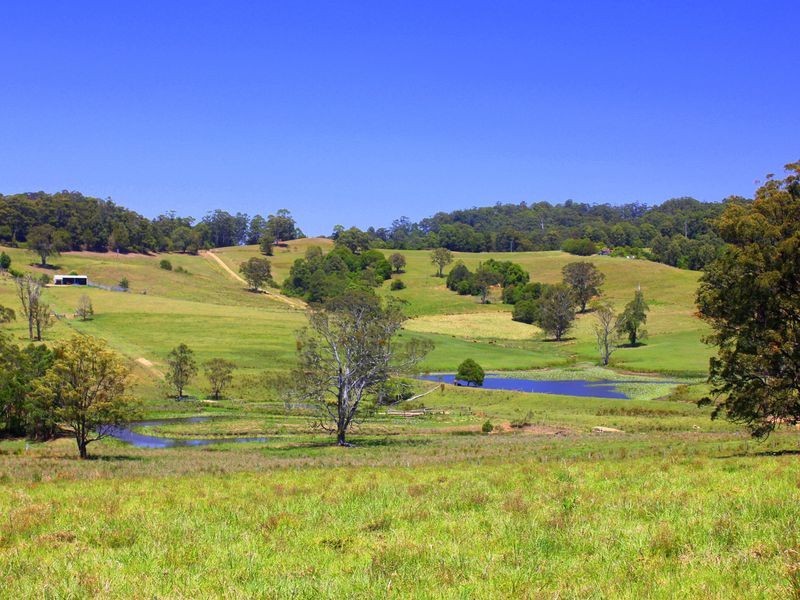 Lorne NSW 2439