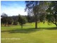 Kew NSW 2439