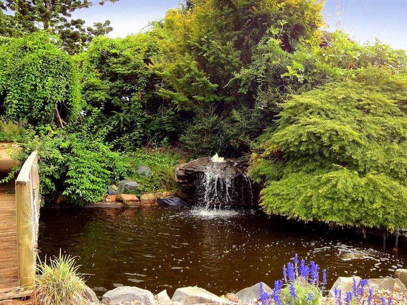 Greenlight Nursery, Moorland NSW 2443