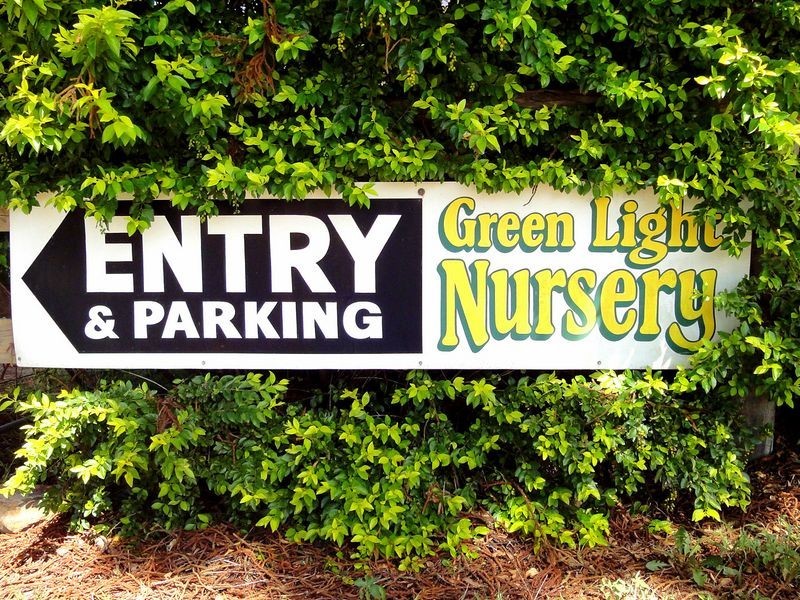 Greenlight Nursery, Moorland NSW 2443 the real estate agency Withdrawn