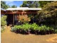 Greenlight Nursery, Moorland NSW 2443
