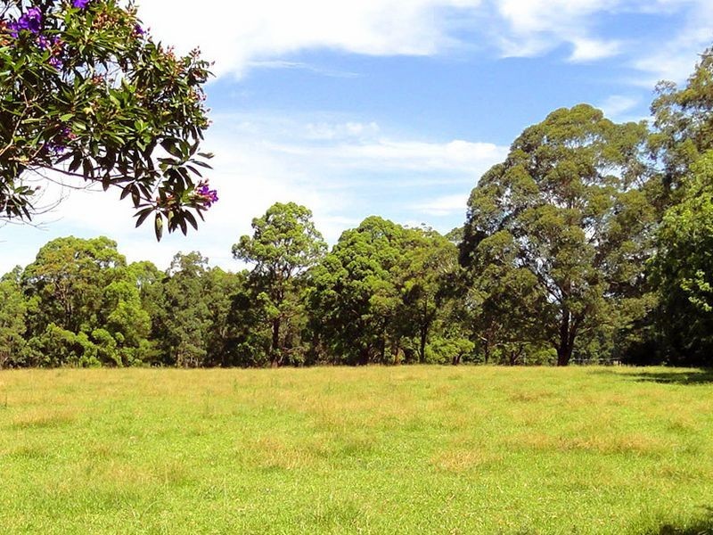 Greenlight Nursery, Moorland NSW 2443