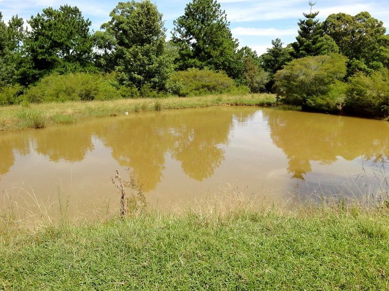 Greenlight Nursery, Moorland NSW 2443