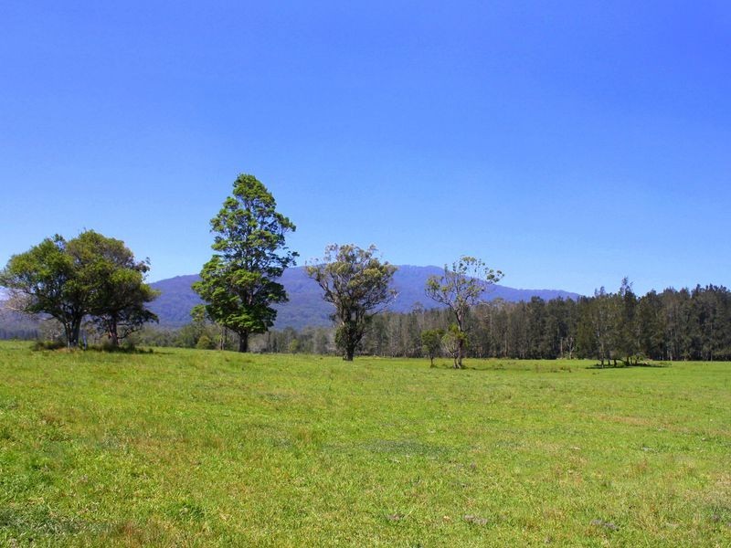 Rossglen NSW 2439