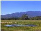 Rossglen NSW 2439
