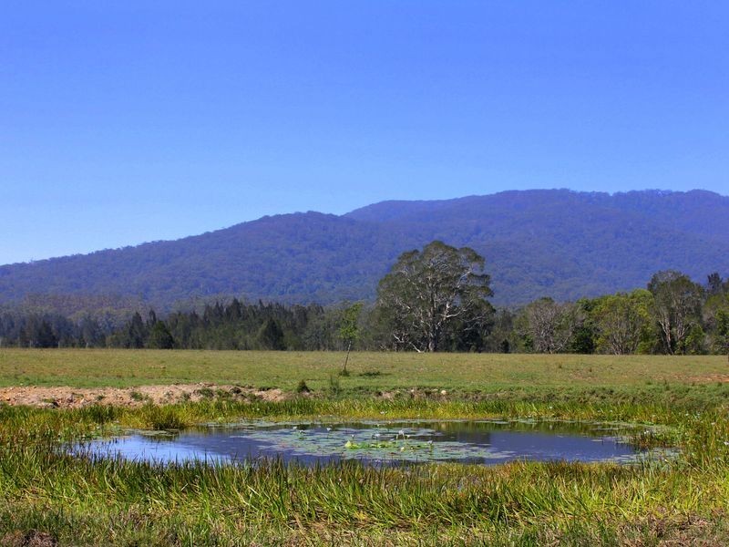 Rossglen NSW 2439