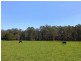 Rossglen NSW 2439