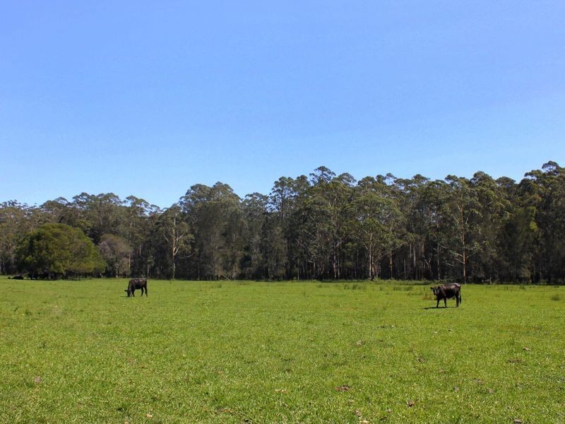 Rossglen NSW 2439