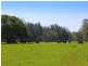 Rossglen NSW 2439