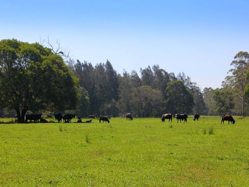 Rossglen NSW 2439