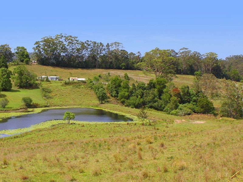 Lorne NSW 2439