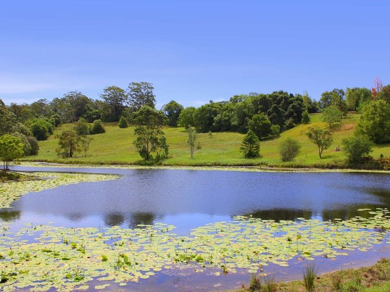 Lorne NSW 2439