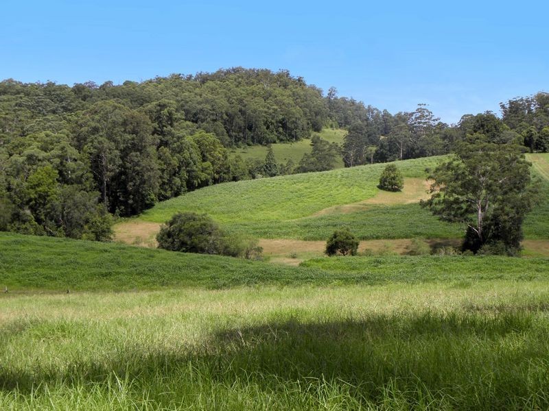 Lorne NSW 2439