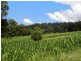 Lorne NSW 2439