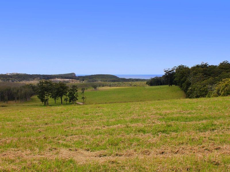 Bonny Hills NSW 2445