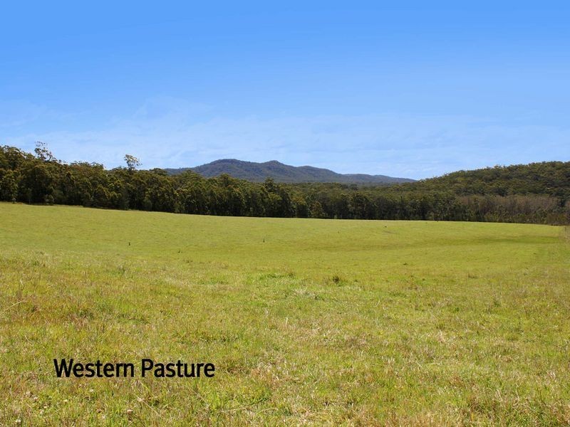 Bonny Hills NSW 2445