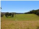 Bonny Hills NSW 2445