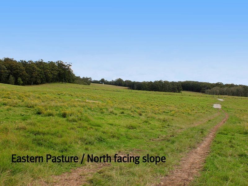 Bonny Hills NSW 2445