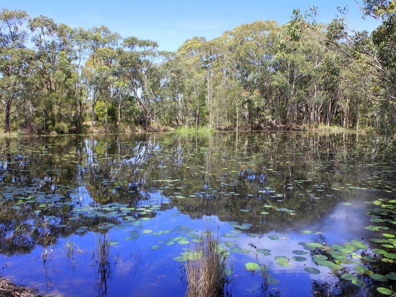 Bonny Hills NSW 2445